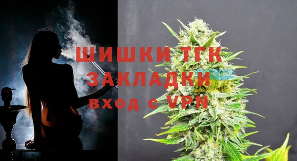 гашик Богородицк